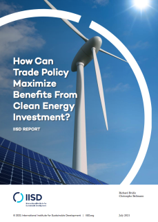 How can trade policy maximise benefits from clean energy investment