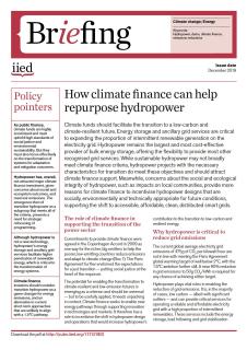 IIED Policy Brief.JPG
