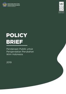 Cover_of_Indonesia_Policy_Brief_UNDP