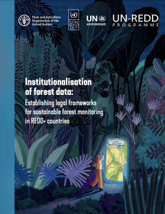 Institutionalisation-of-forest-data-Establishing-legal-frameworks-for-sustainable-forest-monitoring-in-REDD-countries.png