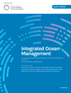 Integrated Ocean Panel_HLP.png
