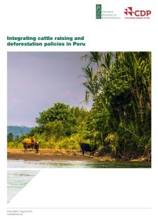 Integrating Cattle Raising and Deforestation Policies in Peru_CDP.jpg