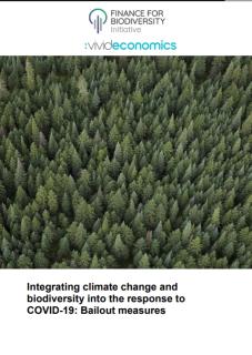 Integrating climate change and biodiversity into the response to COVID-19_F4B.jpg