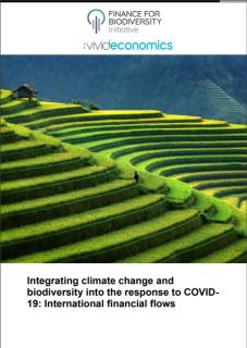 Integrating climate change and biodiversity into the response to COVID-19_F4B.jpg