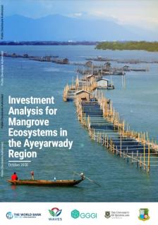 Investment Analysis for Mangrove Ecosystems in the Ayeyarwady Region_World Bank Group.JPG