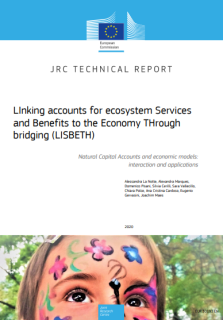 Linking accounts for ecosystem services and benefits to the economy through bridging (LISBETH).png