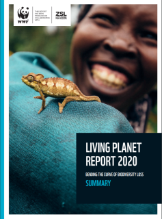 Living Planet Report 2020_WWF