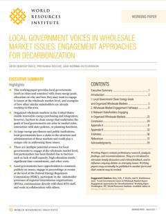Local Government Voices in Wholesale Market Issues Engagement Approaches for Decarbonization_WRI.JPG