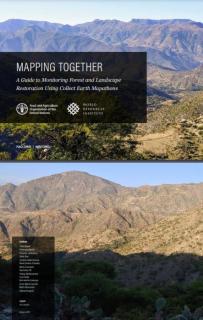 Mapping together A guide to monitoring forest and landscape restoration using Collect Earth mapathons_FAO.JPG