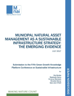 Municipal Natural Asset Management as a Sustainable Infrastructure Strategy_The Emerging Evidence