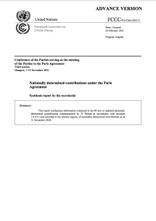 NDC-Synthesis-Report.png