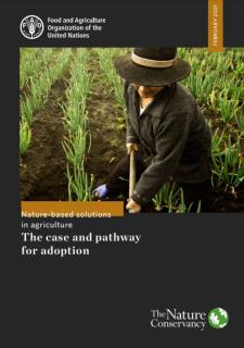 Nature-based solutions in agriculture The case and pathway for adoption_FAO.JPG