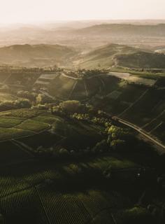 Photo by Kaspars Upmanis on Unsplash