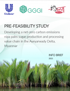 Pre-feasibility Study-Developing a net-zero carbon emissions nipa palm sugar production and processing value chain in the Ayeyarwady Delta, Myanmar.png