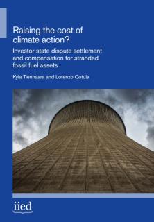 Raising the Cost of Climate Action_IIED.jpg