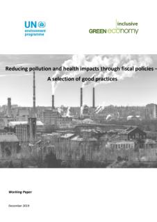 Reducing pollution and health impacts through fiscal policies_UNEP.jpg