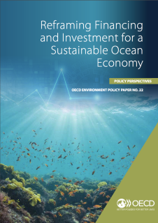 Reframing_Financing_and_Investment_for_a_Sustainable_Ocean_Economy.png