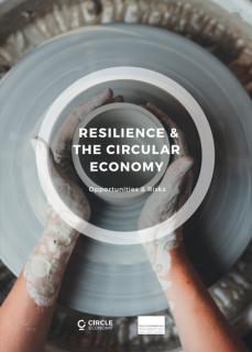 Resilience and the Circular Economy_circle economy.jpg