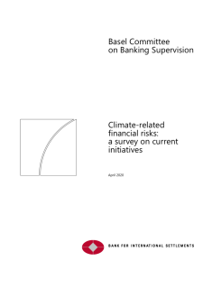 Cover_of_Climate-Related_Financial_Risks_BIS