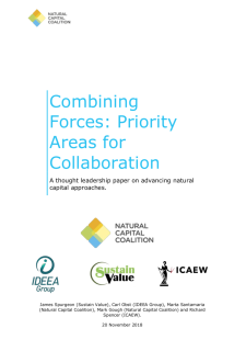 Cover_of_Combining_Forces_Priority_Areas_for_Collaboration_NCC