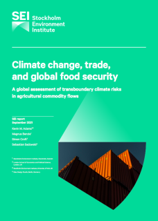 Climate change, trade, and global food security