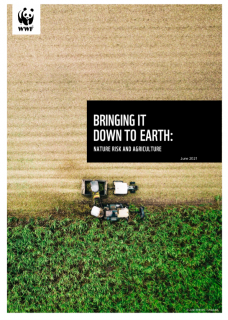 Bringing It Down to Earth