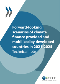 forward-looking scenarios of climate finance