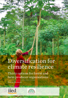 diversification for climate resilience