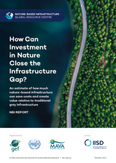 How Can Investment in Nature Close the Infrastructure Gap?