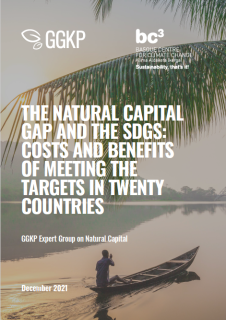 natural capital gap (ggkp)