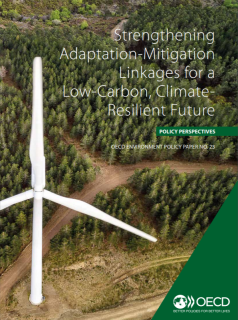 Strengthening adaptation-mitigation linkages_OECD.PNG