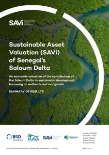 Sustainable Asset Valuation (SAVi) of Senegal's Saloum Delta_IISD.JPG