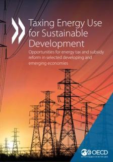 Taxing Energy Use for Sustainable Development Opportunities for energy tax and subsidy reform in selected developing and emerging economies_OECD.JPG