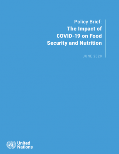 The Impact of COVID-19 on food security and nutrition_UNSDG.png
