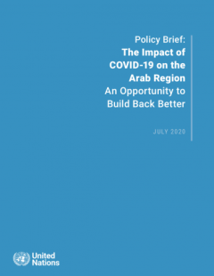 The Impact of COVID-19 on the Arab Region An opportunity to build back better_UNSDG.png