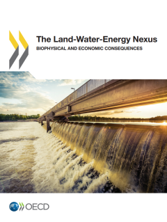 The Land-Water-Energy Nexus_Biophysical and Economic Consequences