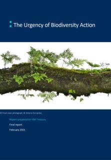 The Urgency of Biodiversity Action_Vivid Economics.JPG