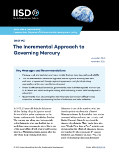 The-Incremental-Approach-to-Governing-Mercury-IISD.png