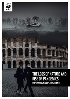 Cover_of_The_loss_of_nature_and_rise_of_pandemics_WWF