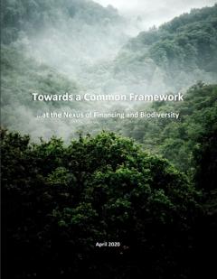 Towards a Common Framework at the Nexus of Financing and Biodiversity_F4B.jpg