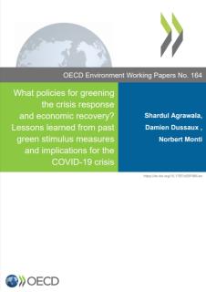 What Policies for Greening the Crisis Response and Economic Recovery_OECD.jpg