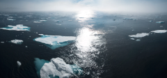 photo from unsplash.PNG