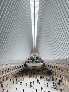 Photo of crowd by Seth Weisfeld on Unsplash