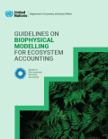 Guidelines on Biophysical Modelling for Ecosystem Accounting_UNSD