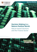 Decision Making in a Nature-Positive World_Nature-based solutions and the finance sector_CISL