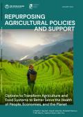 Repurposing Agricultural Policies and Support: Options to transform agriculture and food systems to better serve the health of people, economies, and the planet