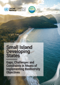 UN DESA_ Gaps Report_SIDS