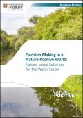 Decision Making in a Nature-Positive World: Nature-based solutions for the water sector