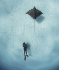 Andre Musgrove, Bahamas, cop26