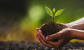 My Sustainable Challenge